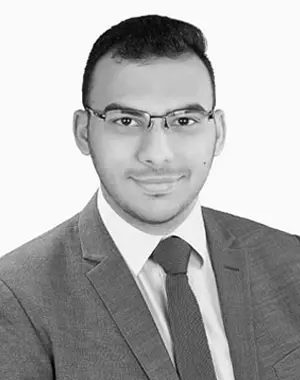 BIM Modeler